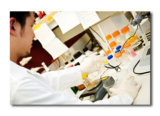 Highly skilled CRO Preclinical modeling
