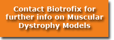 Contact Biotrofic for Muscular Dystrophy Research and Studies