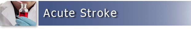 Acute Stroke Animal Models & CRO Services - Preclinical Research - Seth P. Finklestein M.D., CEO