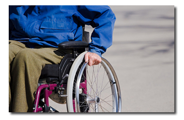 Spinal Cord Injury (SCI) Animal Models & CRO Services - CRO Preclinical Research